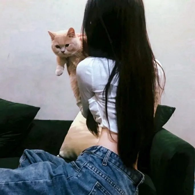 青春紫罗兰